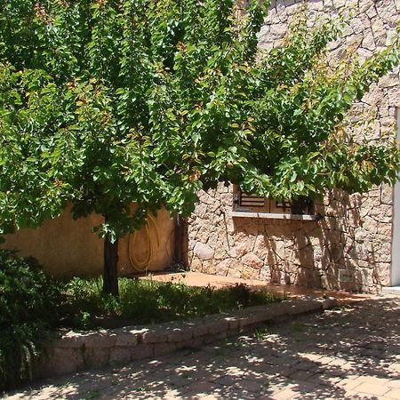 アリエントゥBella Casa Con Giardino A 10 Minuti Dal Mareアパートメント エクステリア 写真