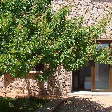 アリエントゥBella Casa Con Giardino A 10 Minuti Dal Mareアパートメント エクステリア 写真