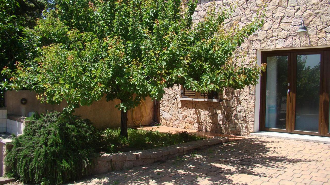 アリエントゥBella Casa Con Giardino A 10 Minuti Dal Mareアパートメント エクステリア 写真